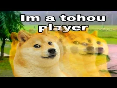 elf_pszeniczny - #tohou #doge