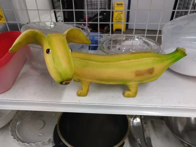 Czesterek - Banana dog to najlepszy pies ( ͡° ͜ʖ ͡°)