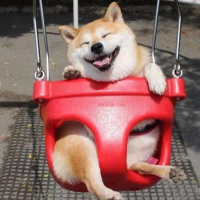 urwis69 - 38/1oo dni i DOGE to the moon!

#doge #dogecoin #kryptowaluty
Tag do obserw...