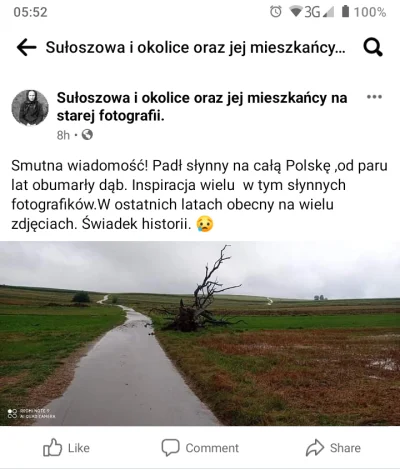 MordimerMadderdin - #rower #szosa #suloszowa
Wiecie że "Drzewo Wisielców" w Sułoszowe...