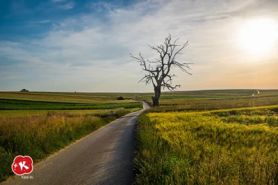 ExitMan - > Drzewo Wisielców" w Sułoszowej

@MordimerMadderdin: Tak wyglądało jak j...