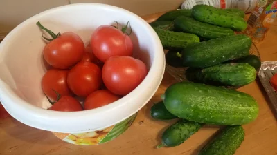 WstretnyOwsik - Jak zawsze za dużo nasadzilem( ͡° ͜ʖ ͡°)
#pomidory #ogorki