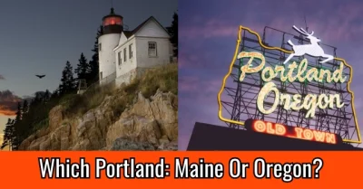 kuba70 - @Diackon: To co wrzucił OP to Portland w stanie Maine, a całe zamieszki odby...