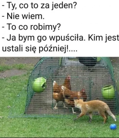 F.....x - #polska #bialorus #humorobrazkowy Na granicy.