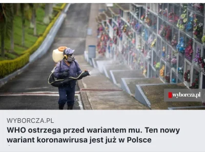 przeczki - Mu synku mu #koronawirus #heheszki