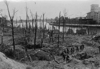 NowaStrategia - Pozostałości po lesie na Westerplatte, wrzesień 1939 roku

#fotohis...