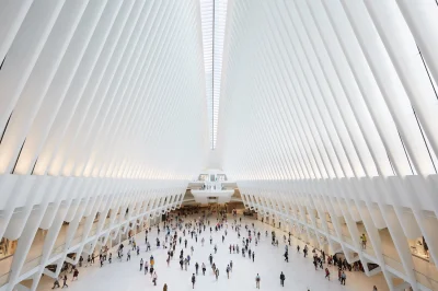 fideriankoons - Najładniejsza stacja w Nowym Jorku. Oculus.
https://mymodernmet.com/...