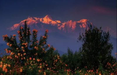 Borealny - Szczyt Annapurna widziany z pagody w mieście Pokhara, w środkowym Nepalu. ...