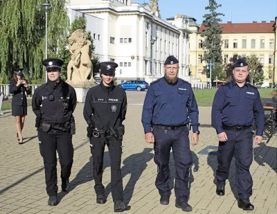 szurszur - Czesi chwalą polskich policjantów, którzy wraz z Czechami patrolują ulice ...