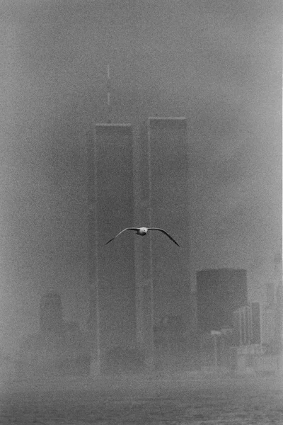 angelo_sodano - World Trade Center 1978
#vaticanoarchive #wtc #nowyjork #usa #fotogr...
