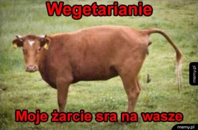 januszzczarnolasu - @wert133: ( ͡° ͜ʖ ͡°)