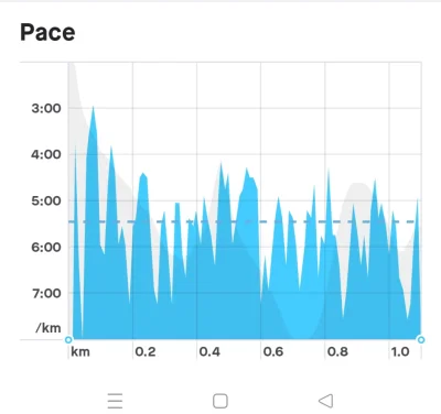 Ignacy_Loyola - Czy ktoś wie skąd się biorą i jak wyeliminować spadki tempa w #strava...