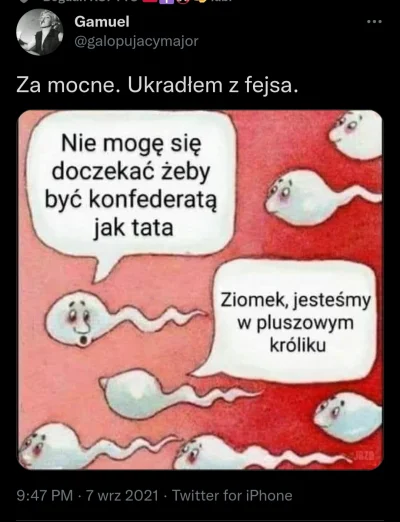 CipakKrulRzycia - #konfederacja #humorobrazkowy #heheszki 
#bekazkonfederacji ale o ...