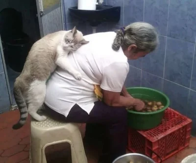 slivkatrin - A na starość kto ci pomoże? - kot
#koty