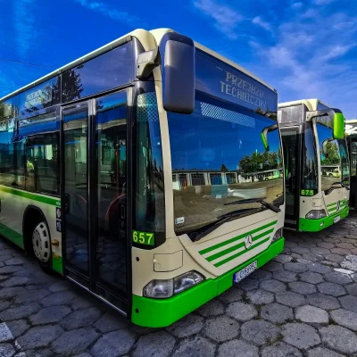BaronAlvon_PuciPusia - Bezpłatne autobusy w Chełmie. Znacznie wzrosła liczba pasażeró...