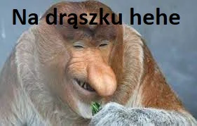 CipakKrulRzycia - @dinor913: