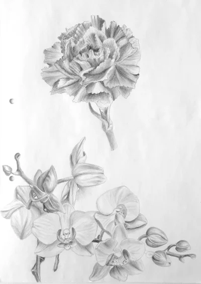 jedennadziesiec - #rysujzwykopem
Ćwiczenia z podstaw rysunku: kwiaty