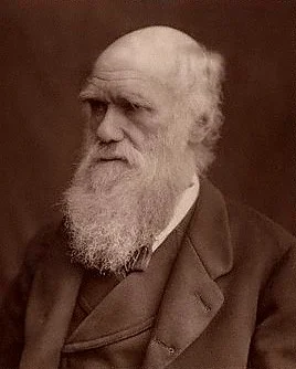 n.....d - @Mirrak: Karol Darwin.