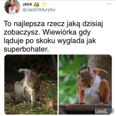 januszzczarnolasu - @r__s: ( ͡° ͜ʖ ͡°)