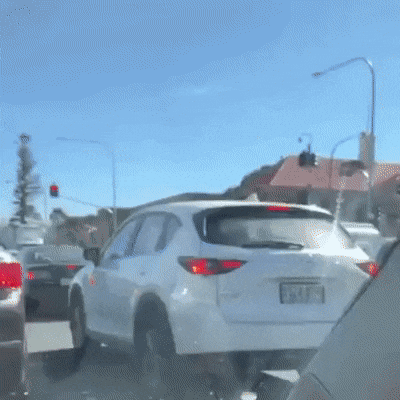 RandomowyJanusz - Dziękuję postoję
#pajaki #Australia #heheszki