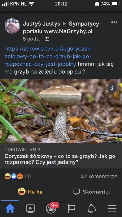 LubieChleb - Jak się ludzie mają nie truć grzybami jak serwis Zdrowie TVN takie babol...