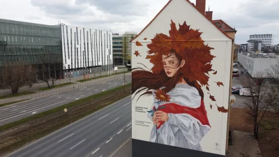 aikonek - Ja bardzo lubię murale, ale ten Polsko-Wegierski jest po prostu słaby. Obie...