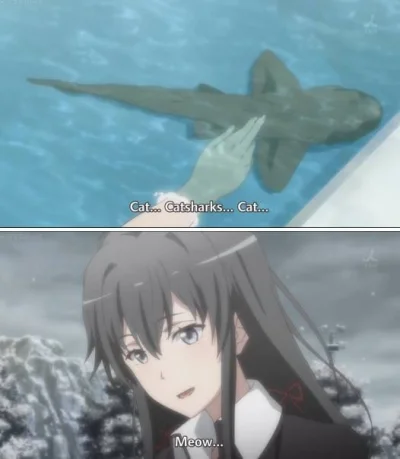 BlackReven - #randomanimeshit #YahariOrenoSeishunLoveComedywaMachigatteiru #oregairu
...