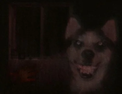 LegendaryGearCrafter - Na końcu wygląda jak Smile Dog