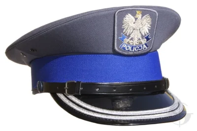 w.....y - @januszzczarnolasu: Pamiętajmy, że polska Policja złożyła wnioski o ukarani...