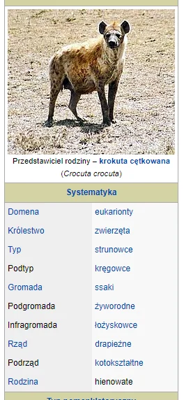 s.....3 - @Red_u: Jakby co to hieny są bliżej kotów niż psów, więc mały śmieszny kote...