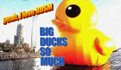 xvlk - big duck is back in town
#kaczkaposting