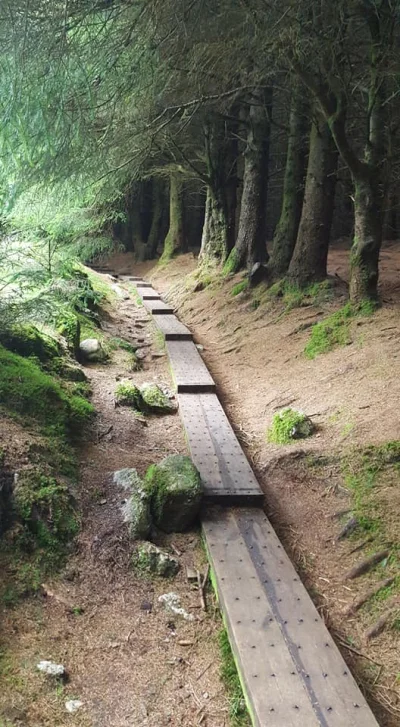 hrabiaeryk - Ballinastoe Forest, góry Wicklow
#irlandia #zwiedzajzwykopem #spacer #e...