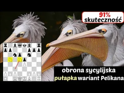 szachmistrz - SZACHY 379# Zobacz pułapkę szachową w obronie sycylijskiej w wariancie ...