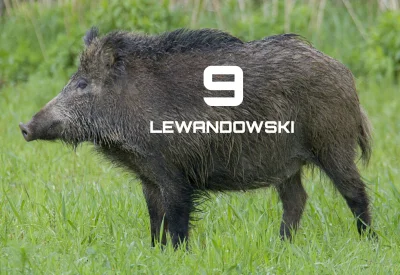 a.....1 - 67 minut i gol Lewandowskiego w meczu Bayernu z Bochum. Zszedł z boiska prz...
