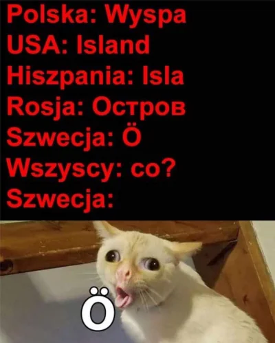 100piwdlapiotsza - Wieczór memów 

#humorobrazkowy #heheszki #memy