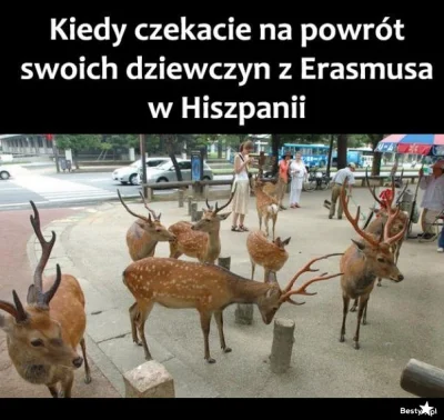 JakubWedrowycz - @paramedix: ( ͡° ͜ʖ ͡°)