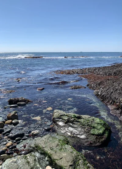 R2D2zSosnowca - +26C Brenton Point State Park, Newport #rhodeisland 

Kolejny State P...