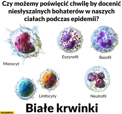 Mikuuuus - Monocyty
https://diag.pl/pacjent/monocyty-czym-sa-i-kiedy-warto-badac-ich...
