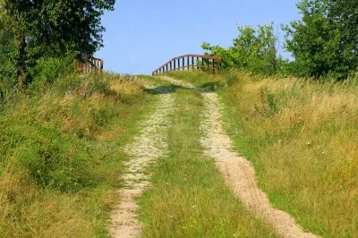 jmuhha - Wyobraź sobie ten syk świerszczy i 30 stopni dające po karku



ʕ•ᴥ•ʔ