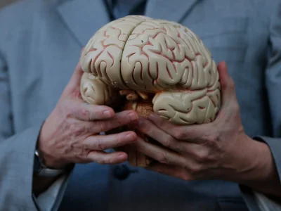 Dziczek3000 - Wykazano, że implanty mózgu są niebezpieczne, naukowcy chcą zakazu...
...