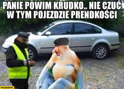 V.....e - Bardzo podoba mi się solidarność Polskich kierowców, kiedy stoi policja i s...