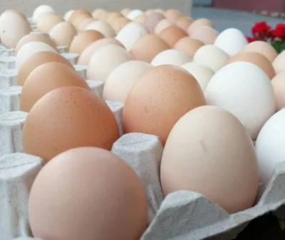 Mirkosoft - Mógłby ktoś polecić sprawdzoną miejscówkę z dobrymi wiejskimi jajkami w #...