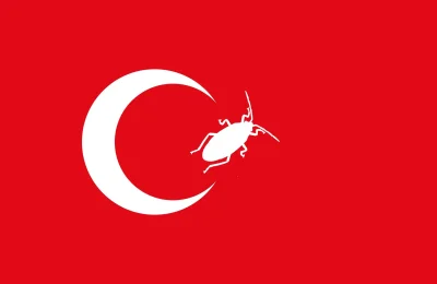 PS24life - Flaga Turcji nieaktualna