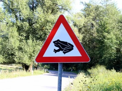 Gorbo2004 - @nowyjesttu a w Holandii mamy też znak z żabkami