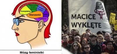 marekmarecki44 - Feministka wściekła bo jej życie seksualne się nie układa. xD ciekaw...