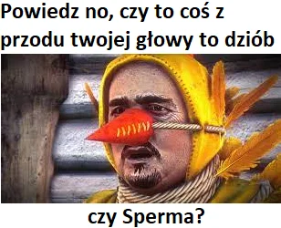 Cierniostwor - #gothic #wiedzmin #wiedzmin2 #heheszki 
#codziennasperma