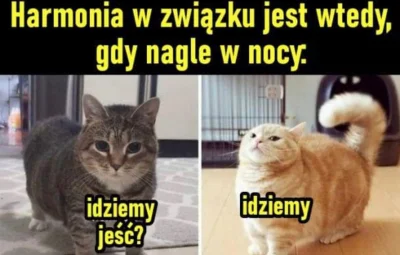 D.....r - Jeżeli chodzi o żarcie, to na tej płaszczyźnie z różowa nigdy się nie kłóci...