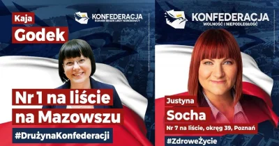 w.....w - Poważna partia
#konfederacja #polityka