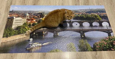 agaaa_ - #puzzle #kitku #koty kolejne 4K za nami