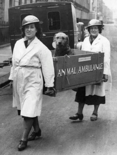 wanghoi - Ambulans dla zwierząt podczas bitwy o Anglie 


#historia #psy #zwierzwczki...